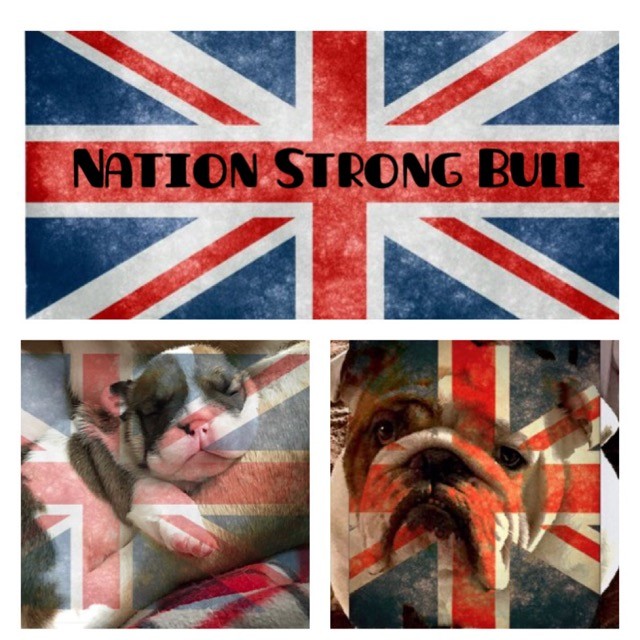 Nation Strong Bull